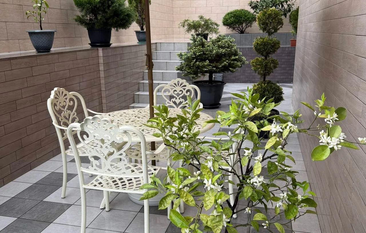 Holiday and Business Apartments