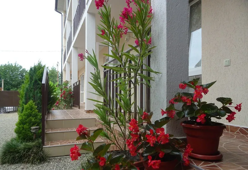 «Вардане Резорт» (Vardane Resort), Вардане — foto 6
