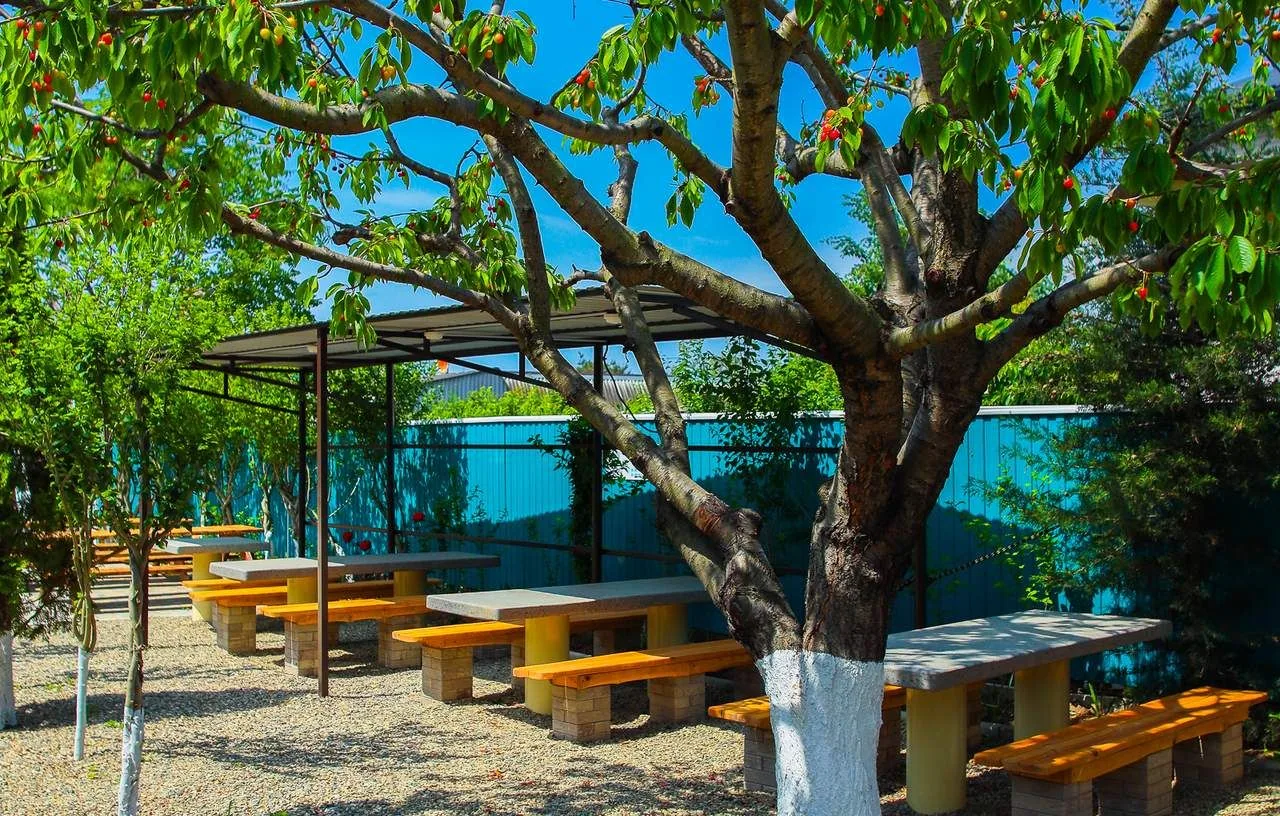 Гостевой дом «Lavrio», Кучугуры — фото 4