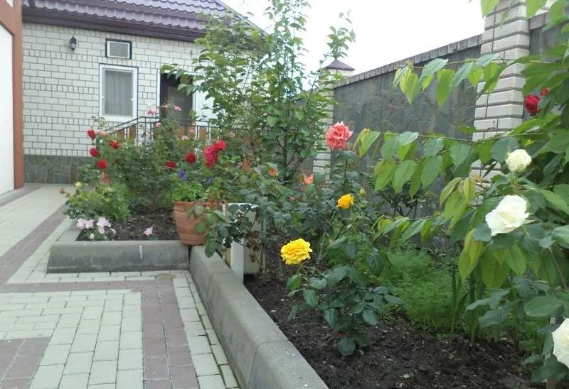 Вероника, Кабардинка — photo 8