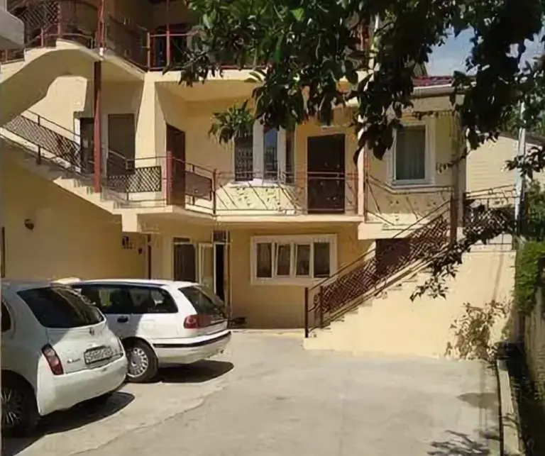 Дельфин