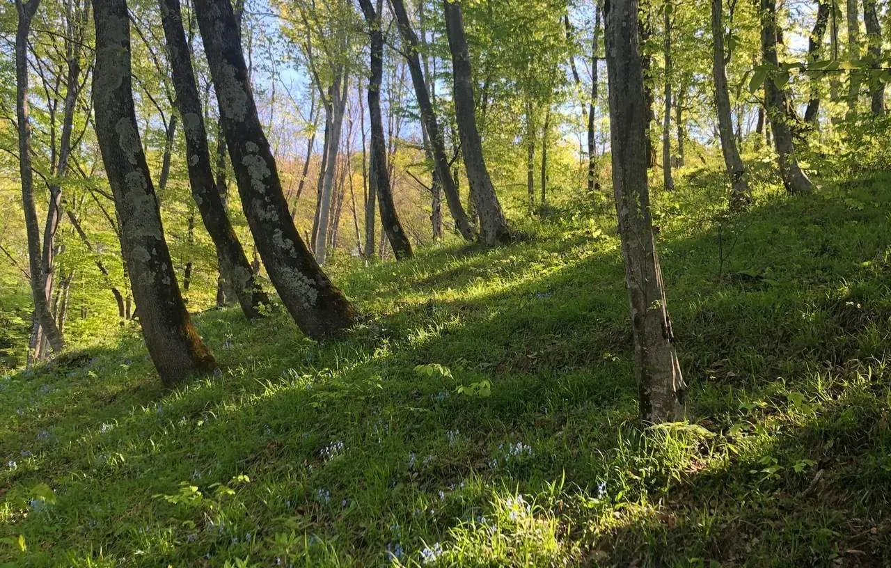 Весна, Лоо — foto 3