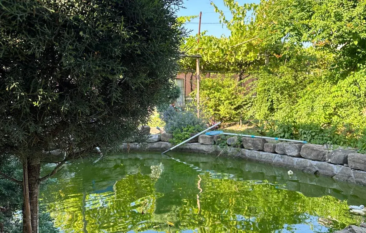 Лидия, Лоо — foto 2