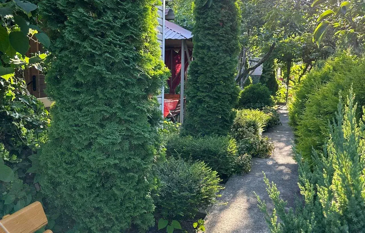 Лидия, Лоо — foto 1