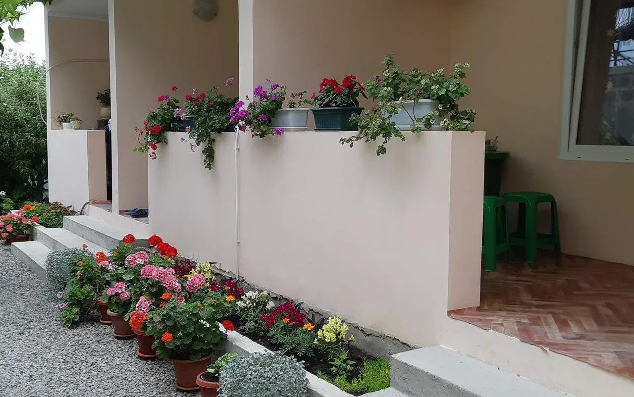 Карина, Лоо — foto 3