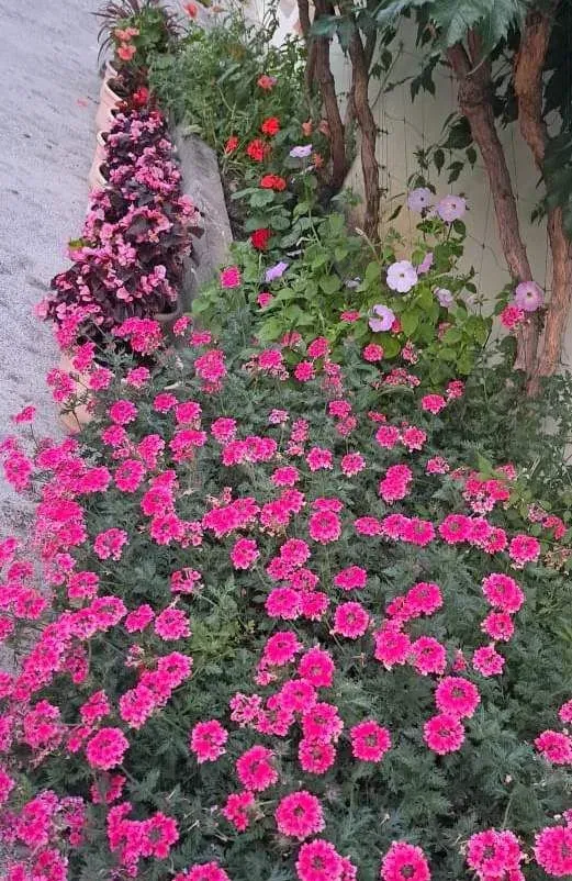 Карина, Лоо — foto 7