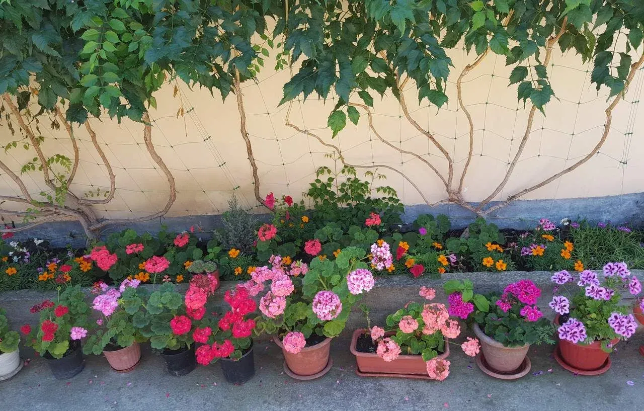Карина, Лоо — foto 5