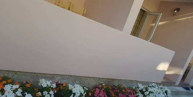 Мандарин, Лоо — photo 8
