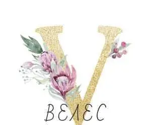 Гостевой дом «ВеЛес», Хоста — фото 5