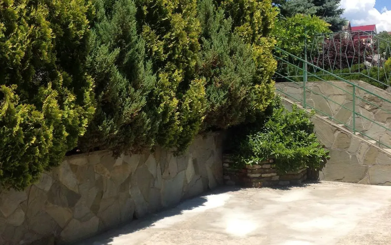 Гостевой дом «Диана», Архипо-Осиповка — фото 7