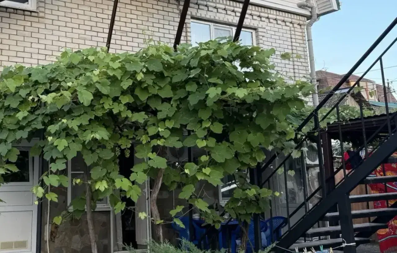 Гостевой дом «У Елены», Архипо-Осиповка — фото 6