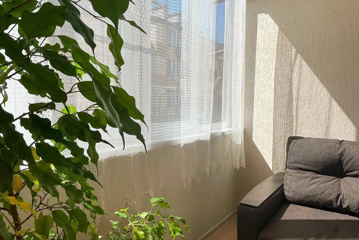 Квартира у моря, Дивноморское — լուսանկար 6