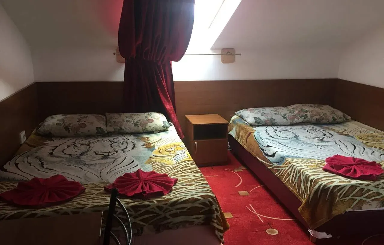 Гостевой дом «Светлана», Анапа — фото 60