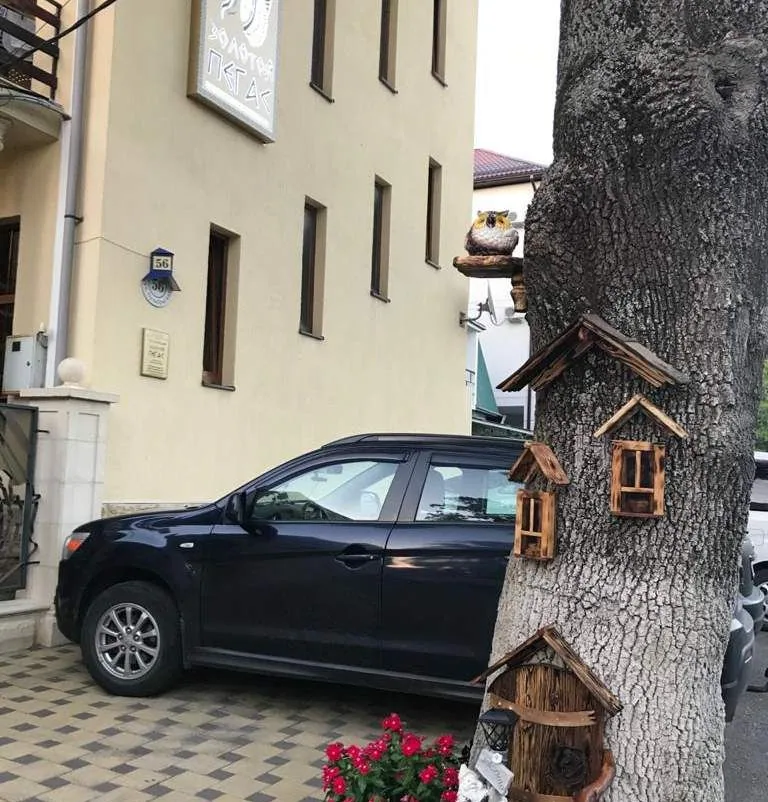 Гостевой дом «Золотой Пегас», Кабардинка — фото 5