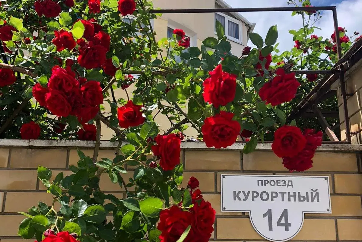 Гостевой дом «Барон-Диана», Джемете — фото 3