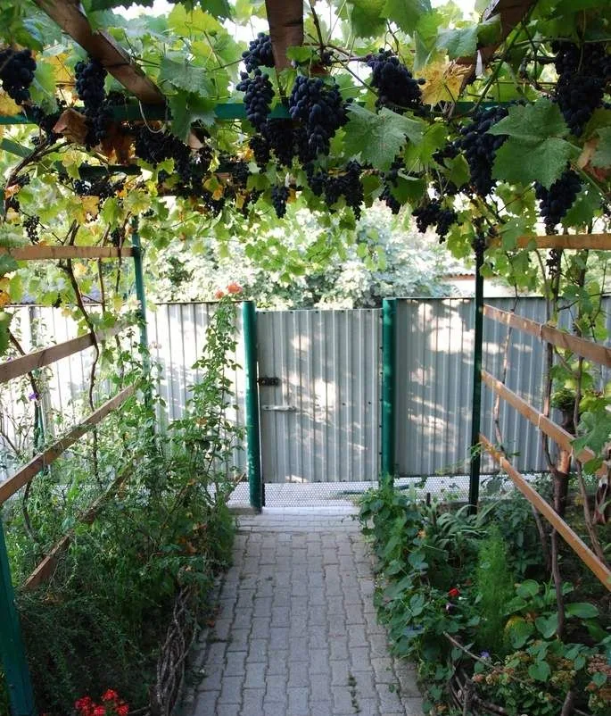 Гостевой дом «Добрый», Кабардинка — фото 35