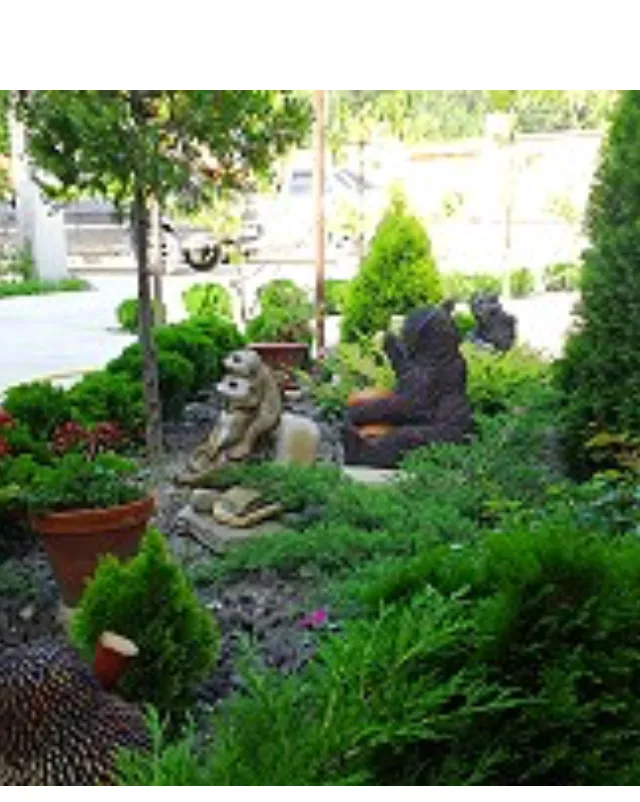Гостевой дом «Три медведя», Геленджик — фото 3