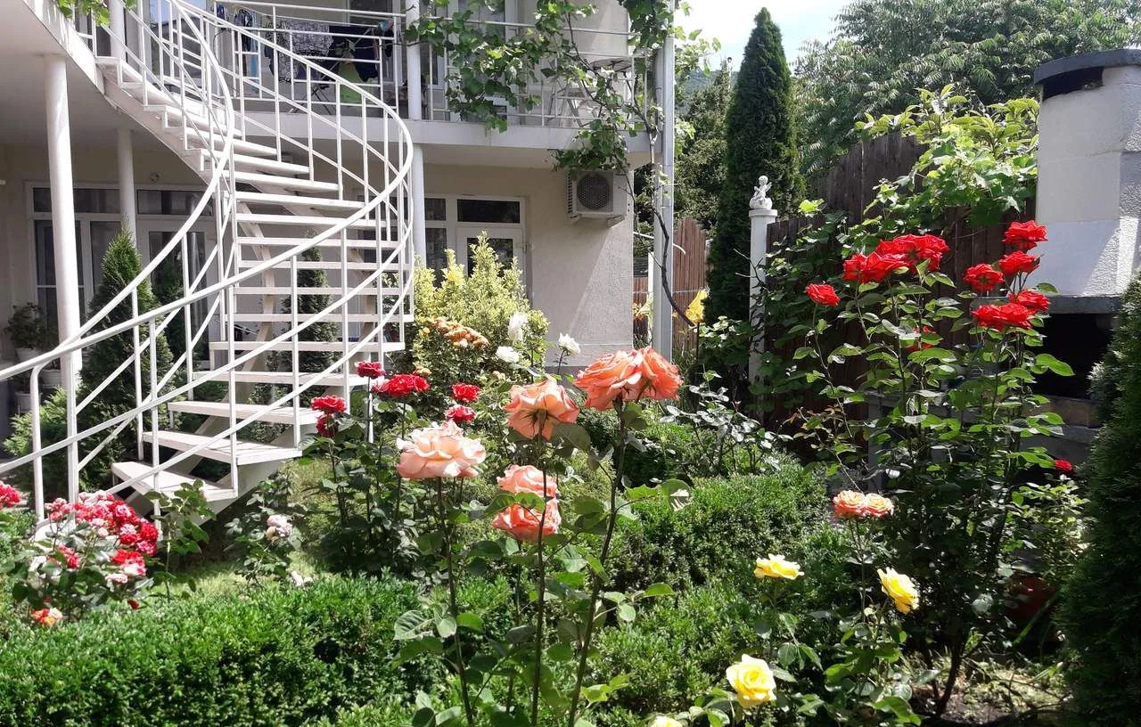 Гостевой дом «Светлана», Геленджик — фото 3