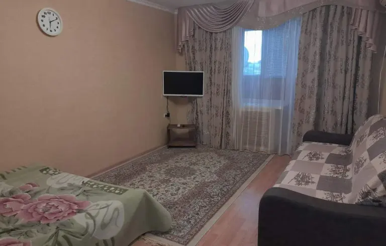 Однокомнатная квартира на Толстом мысу